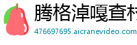 腾格淖嘎查村6686体育